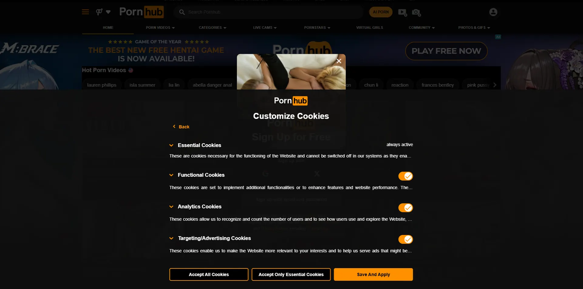 What Is Pornhub?
